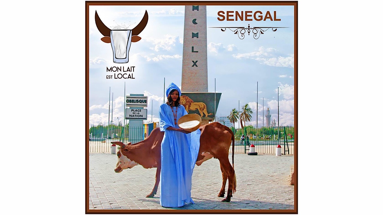 Photo actualité Sénégal