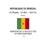 Sénégal : Un banc de poissons morts a été découvert sur les plages de la commune de Ndiebène-Gandiol, à Saint-Louis