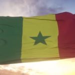 Karaté : le Sénégal décroche quatre titres africains à Alger