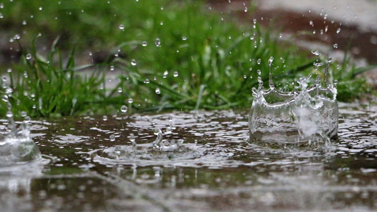 Pluie