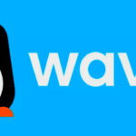 Sénégal : la CSS annonce le paiement des prestations sociales via Wave