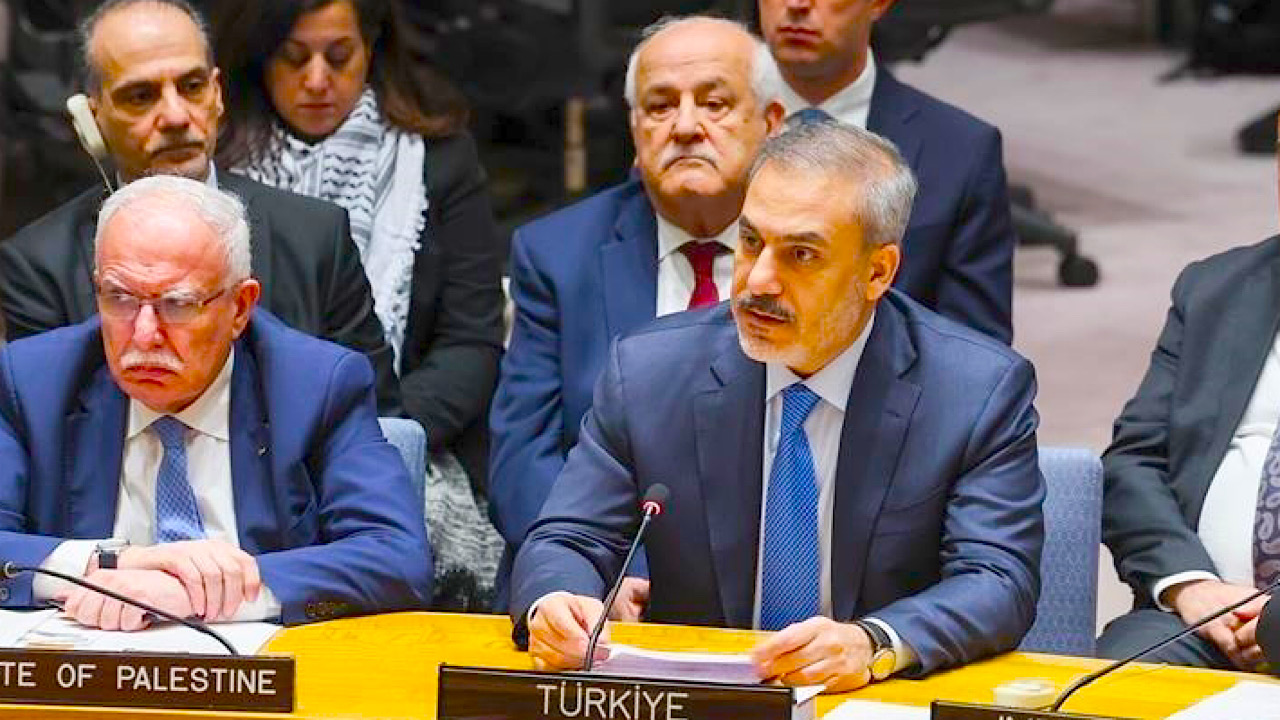 Fidan turquie