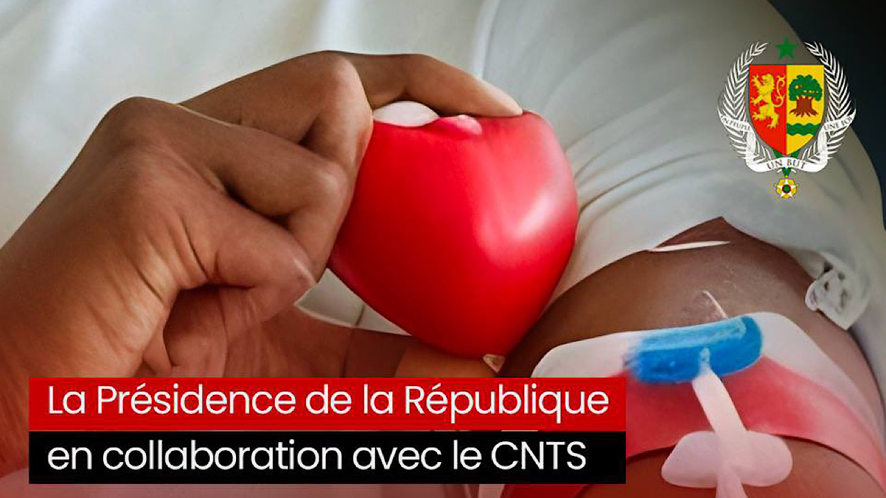 Photo actualité Sénégal