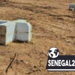 Sénégal : Problème foncier à Ndingler , Babacar Ngom de SEDIMA a annoncé la cession volontaire de 80 hectares à l’État