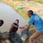 Aquaculture à Kaffrine : 30 000 jeunes poissons pour stimuler la production locale