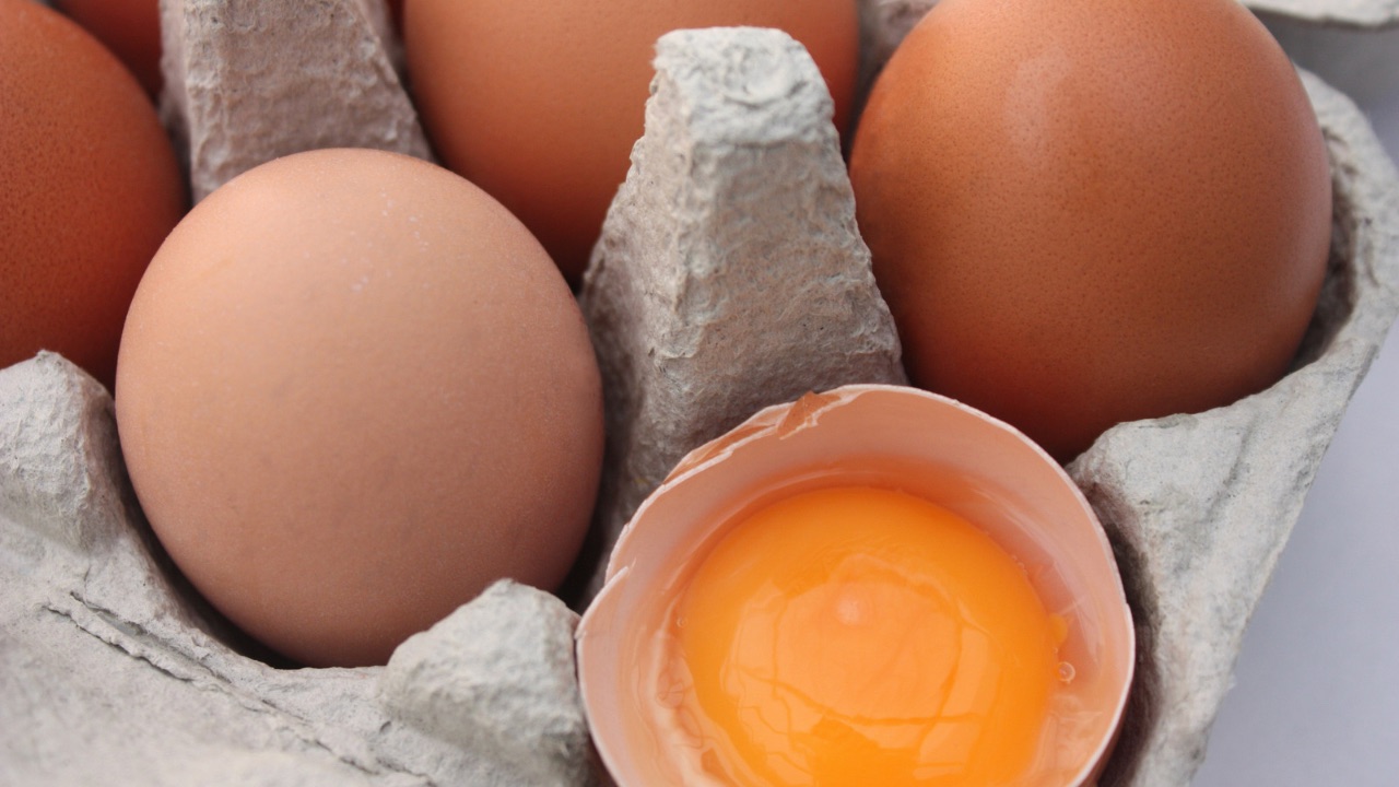 Œuf de poule