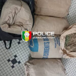Ziguinchor : Un réseau de trafic de Cannabis démantelé sur la route Sindian-Bignona