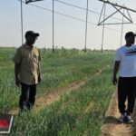 Agriculture : Ousmane Sonko appelle les Sénégalais à revenir vers la terre