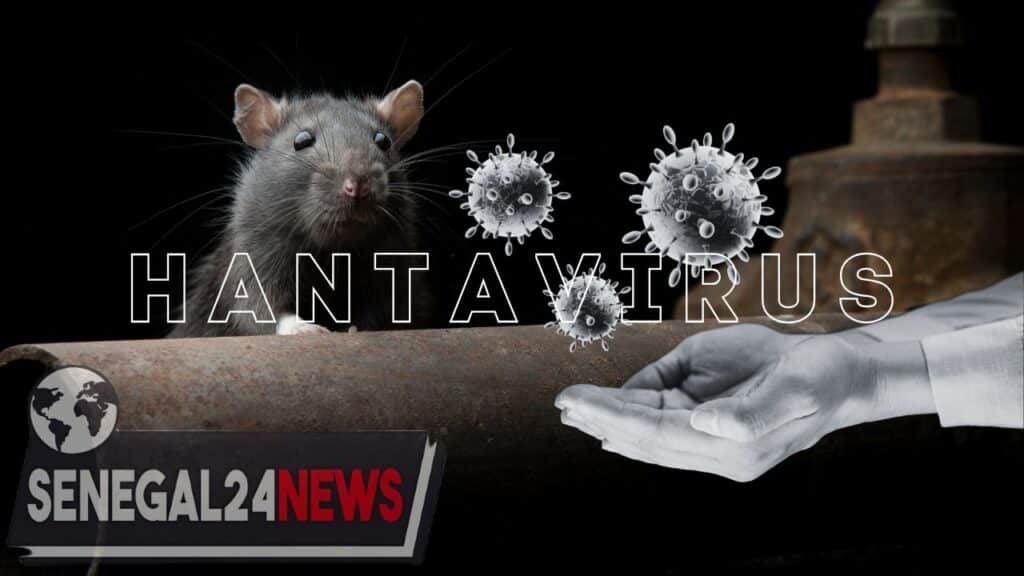 HANTAVIRUS