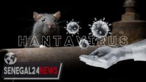 HANTAVIRUS