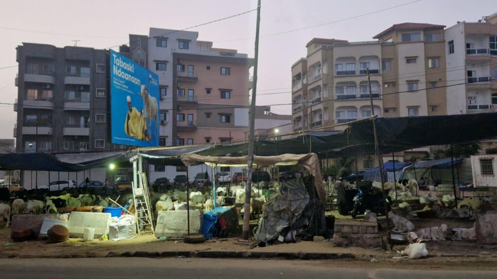 Tabaski Senegal Dakar