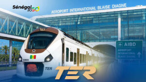 TER - AEROPORT BLAISE DIAGNE