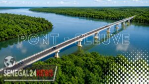 PONT - FLEUVE CASAMANCE