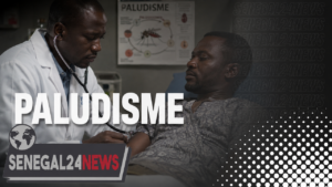 maladie-paludisme